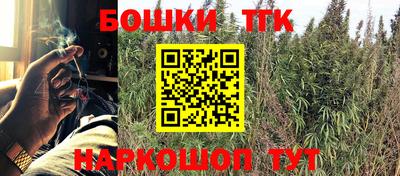 индика Заволжье