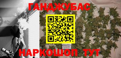 гашик Дубна