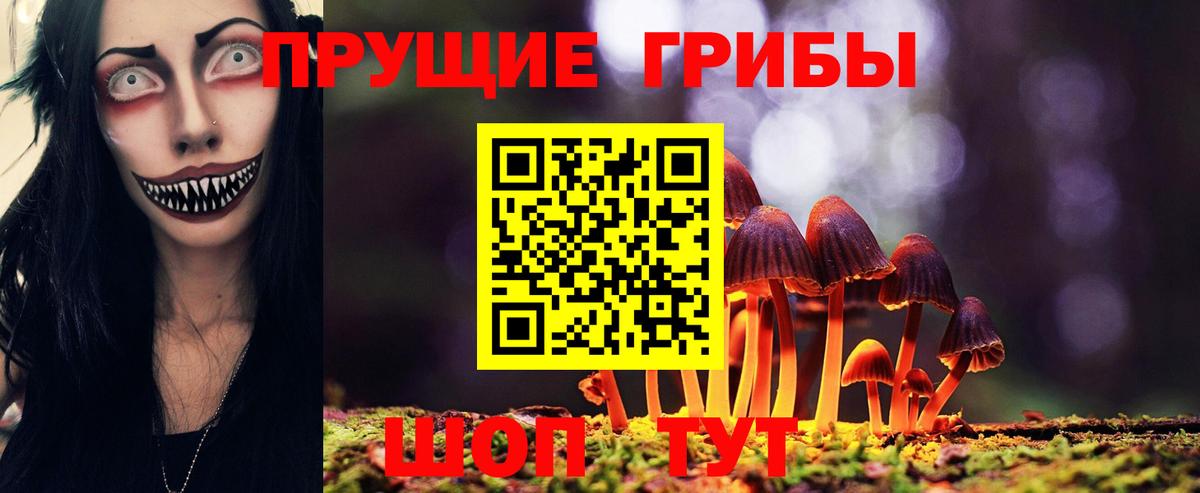Галлюциногенные грибы Psilocybine cubensis  Галлюциногенные грибы MAGIC MUSHROOMS  Вход с VPN  Майкоп 